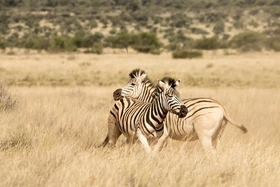 image ‣ Book Your Stay