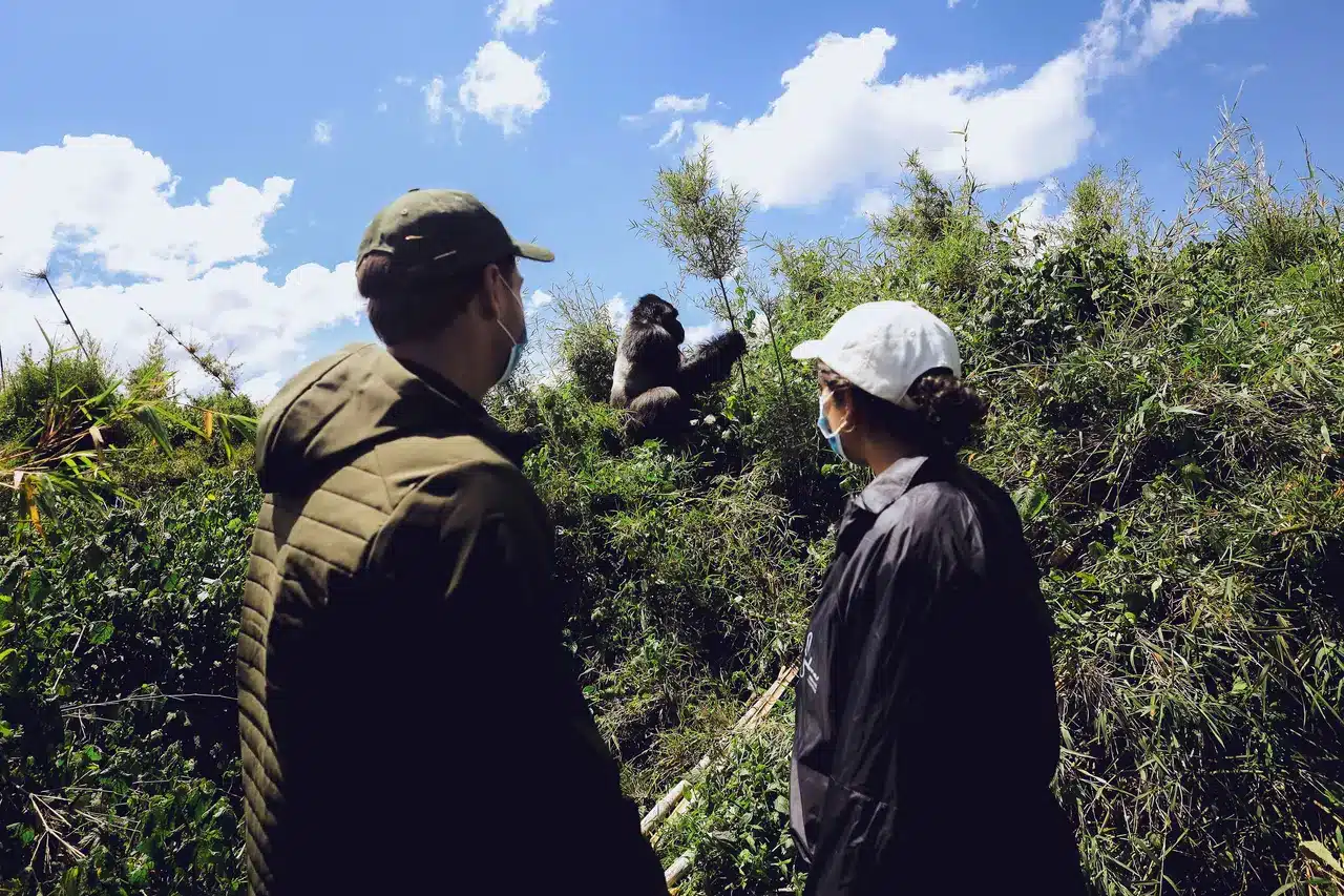 image ‣ Book Your Stay